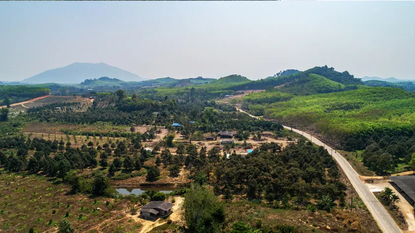 Agarwood Eco Capital