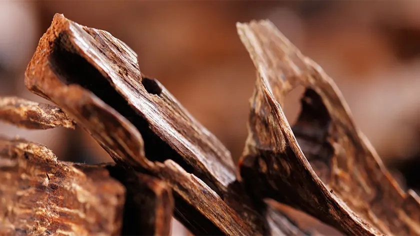 Agarwood Eco Capital