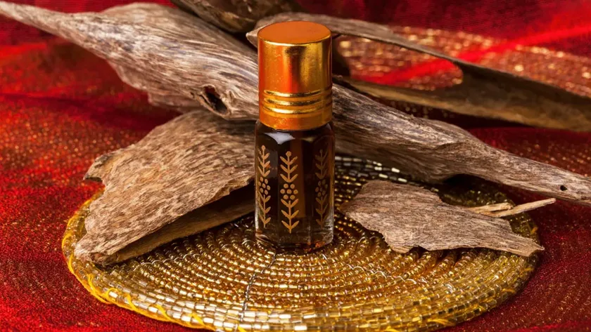 Agarwood Eco Capital